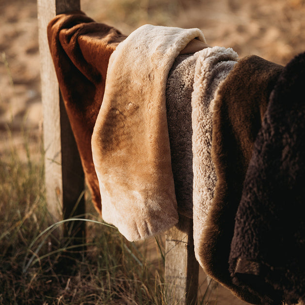 Sheepskin – Lucas Ruth Leather Goods